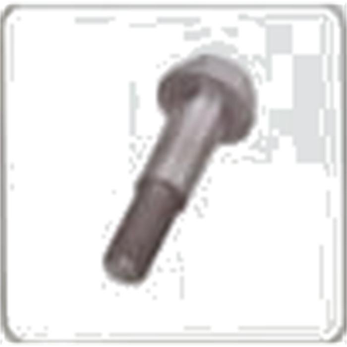 Long Screw